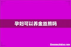 孕妇可以养金丝熊吗
