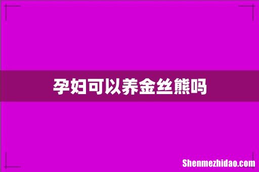孕妇可以养金丝熊吗