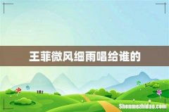 王菲微风细雨唱给谁的