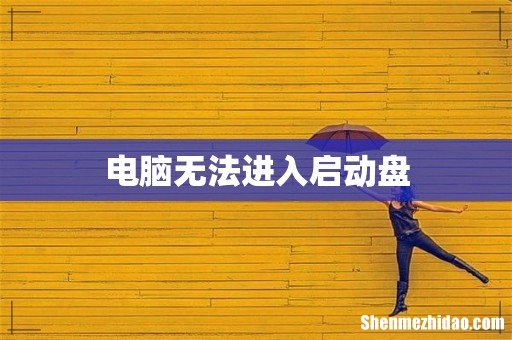 电脑无法进入启动盘