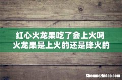 红心火龙果吃了会上火吗 火龙果是上火的还是降火的