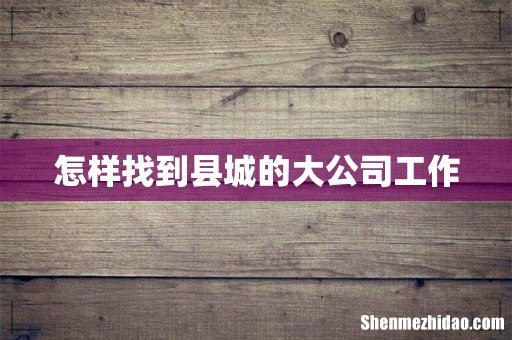 怎样找到县城的大公司工作