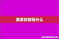道家的智指什么