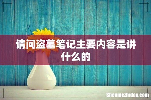 请问盗墓笔记主要内容是讲什么的