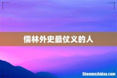 儒林外史最仗义的人