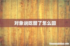 对象说吃醋了怎么回
