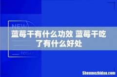 蓝莓干有什么功效 蓝莓干吃了有什么好处
