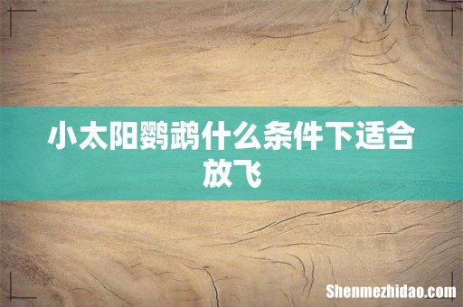 小太阳鹦鹉什么条件下适合放飞