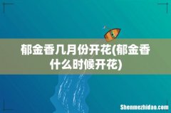 郁金香什么时候开花 郁金香几月份开花