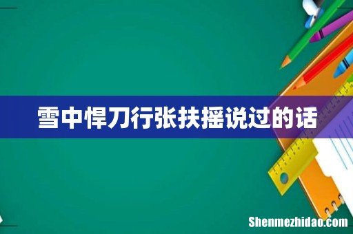 雪中悍刀行张扶摇说过的话