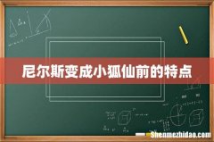 尼尔斯变成小狐仙前的特点