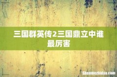 三国群英传2三国鼎立中谁最厉害