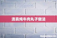清真炖牛肉丸子做法