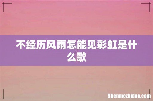 不经历风雨怎能见彩虹是什么歌