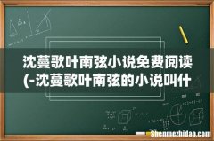 -沈蔓歌叶南弦的小说叫什么名字 沈蔓歌叶南弦小说免费阅读