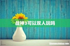 战神3可以双人玩吗