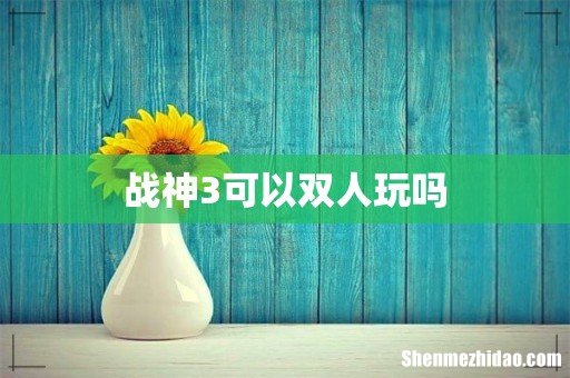 战神3可以双人玩吗