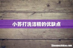 小苏打洗洁精的优缺点