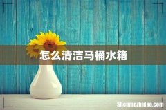 怎么清洁马桶水箱
