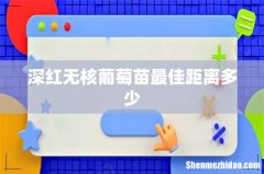 深红无核葡萄苗最佳距离多少