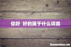 你好好的属于什么词类