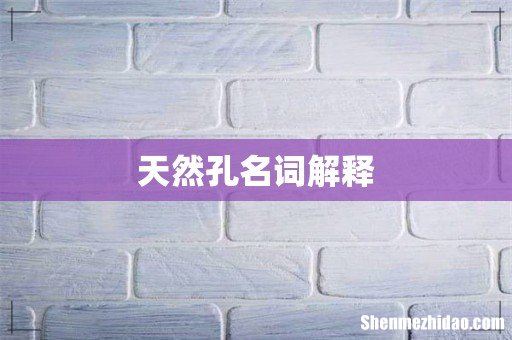 天然孔名词解释