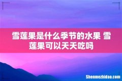 雪莲果是什么季节的水果 雪莲果可以天天吃吗