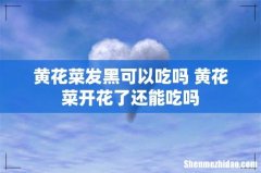 黄花菜发黑可以吃吗 黄花菜开花了还能吃吗