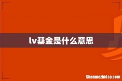 lv基金是什么意思