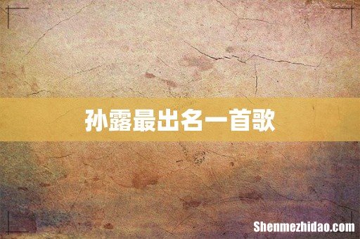孙露最出名一首歌