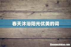 春天沐浴阳光优美的词