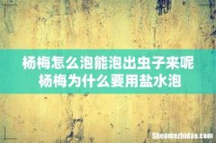 杨梅怎么泡能泡出虫子来呢 杨梅为什么要用盐水泡