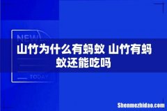 山竹为什么有蚂蚁 山竹有蚂蚁还能吃吗