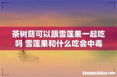 茶树菇可以跟雪莲果一起吃吗 雪莲果和什么吃会中毒