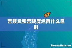 宫颈炎和宫颈糜烂有什么区别