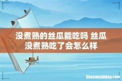 没煮熟的丝瓜能吃吗 丝瓜没煮熟吃了会怎么样