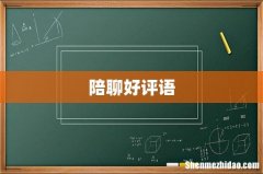 陪聊好评语