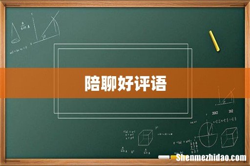 陪聊好评语