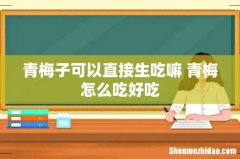 青梅子可以直接生吃嘛 青梅怎么吃好吃