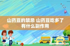 山药豆的禁忌 山药豆吃多了有什么副作用