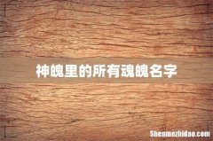 神魄里的所有魂魄名字
