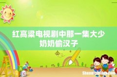 红高粱电视剧中那一集大少奶奶偷汉子