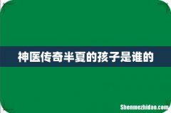 神医传奇半夏的孩子是谁的