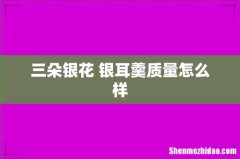 三朵银花 银耳羹质量怎么样