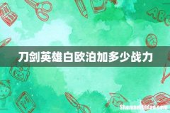 刀剑英雄白欧泊加多少战力