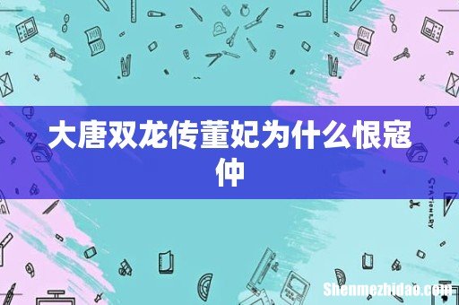 大唐双龙传董妃为什么恨寇仲