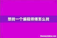 想找一个编程师傅怎么找