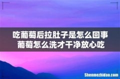 吃葡萄后拉肚子是怎么回事 葡萄怎么洗才干净放心吃