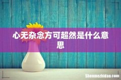 心无杂念方可超然是什么意思