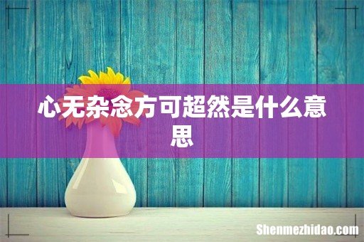 心无杂念方可超然是什么意思